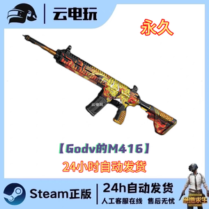 绝地求生（PUBG）【担保】-M416皮肤韦神GO