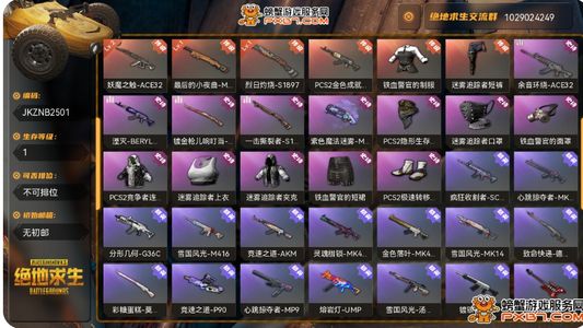 绝地求生（PUBG）3成长枪皮