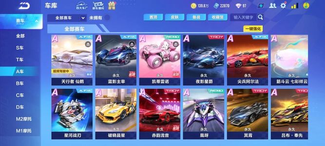 QQ飞车手游【80级】v8!45辆A车有魔法套有骑宠