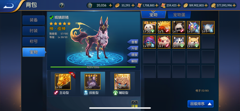 【100级】星辰大陆v8毕业鬼泣4