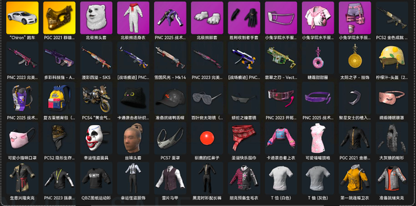 绝地求生（PUBG）布加迪白熊金面