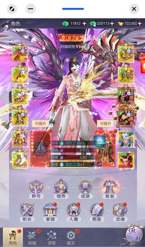 九梦仙域9.76万亿战力，6黑金侠客