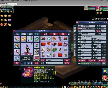 梦幻西游（端游）花果山145级打图大唐带宠