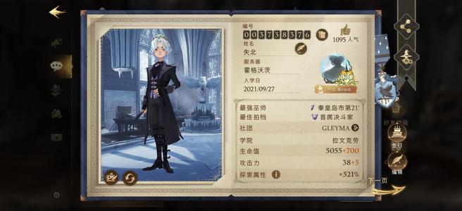 哈利波特：魔法觉醒满书 纯摆子