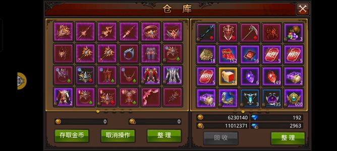 全民奇迹【1,0100级魔剑士】游戏fan