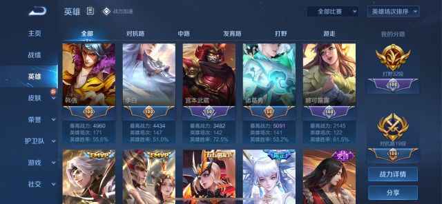 王者荣耀【苹果版】【112英雄166皮肤】无敌打野号私我可小刀