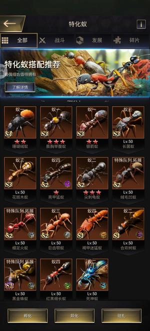 小小蚁国成品号，双T10