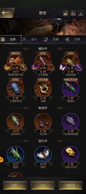 小小蚁国【25级VIP15战力2287,0000】25级VIP15战力2千万