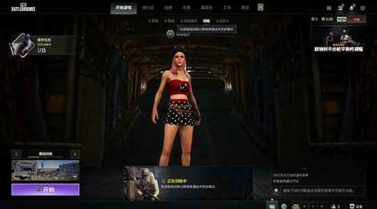 绝地求生（PUBG）三成长m4?ACE?mp5k