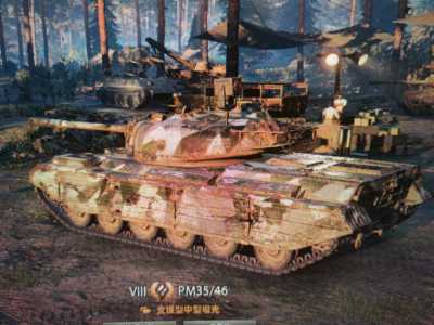 坦克世界【6辆坦克 辆X坦克】新手号8金T0中坦p46