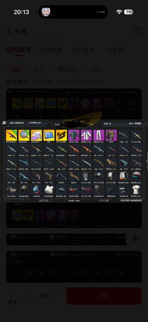 绝地求生（PUBG）生存等级58 名誉等级2 成长武器 究极 载具 枪皮已升级puls 红色烟雾弹