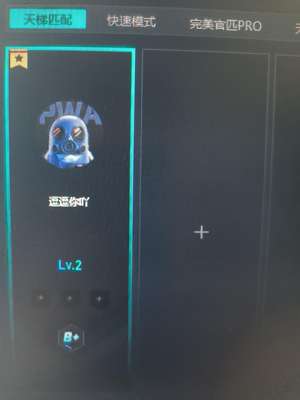 CSGO完美老兵b 