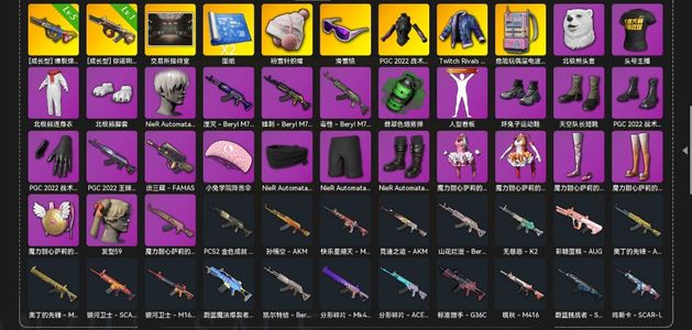 绝地求生（PUBG）尼尔头发，发光手臂，粉色电磁包