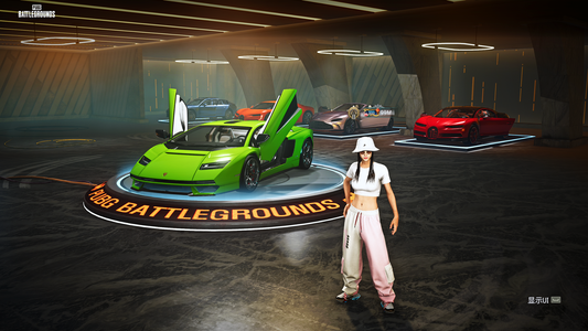 绝地求生（PUBG）生存等级2500 名誉等级5 成长武器9 究极1 载具38 枪皮99满级霓虹八级美杜莎多车皮敏金