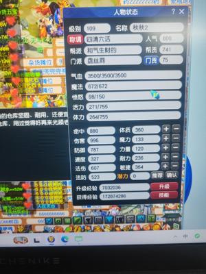 梦幻西游（端游）畅玩服，109盘丝白捡号请善待