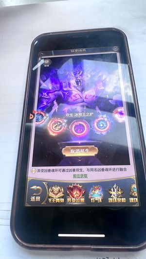 斗罗大陆H5【1170级】不能换绑定，密保