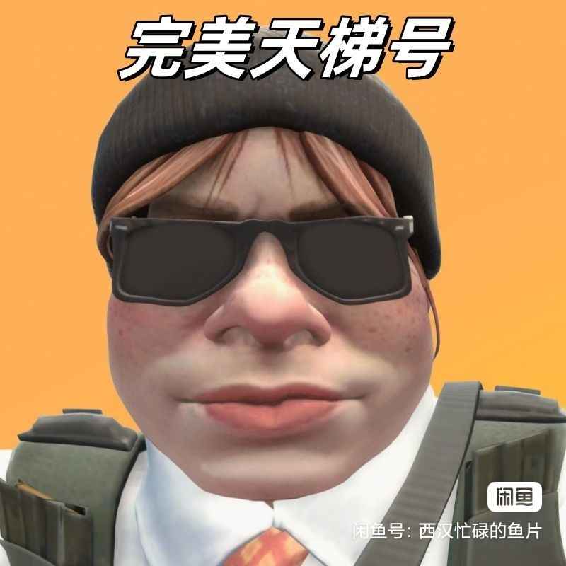 CSGO完美账号炸鱼专用