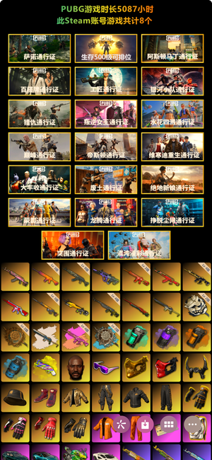 绝地求生（PUBG）5000h 自用一手号