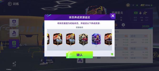 最佳球会【111级】最佳球会沙特罗 大使斯内德带队