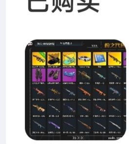 绝地求生（PUBG）布加迪  牛头aug 11张图