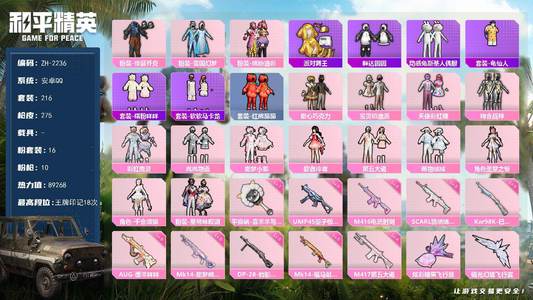 和平精英【ZH-2236】安卓 手Q