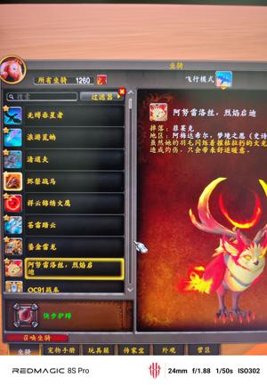 魔兽世界1260只坐骑鎏金雷龙火猫头鹰