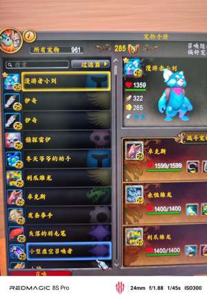 魔兽世界1267只坐骑鎏金雷龙火猫头鹰