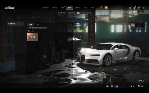 绝地求生（PUBG）布加迪，改名卡，225票