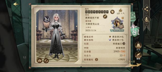 哈利波特：魔法觉醒两个衣服两个魔杖两个猫头鹰