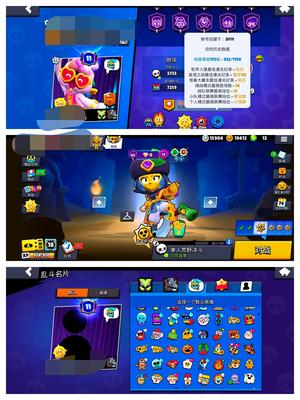 荒野乱斗（外服）100英雄380皮肤70满级