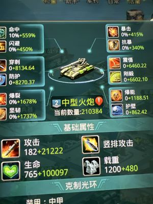 坦克前线：帝国OL【110级】区级排行7