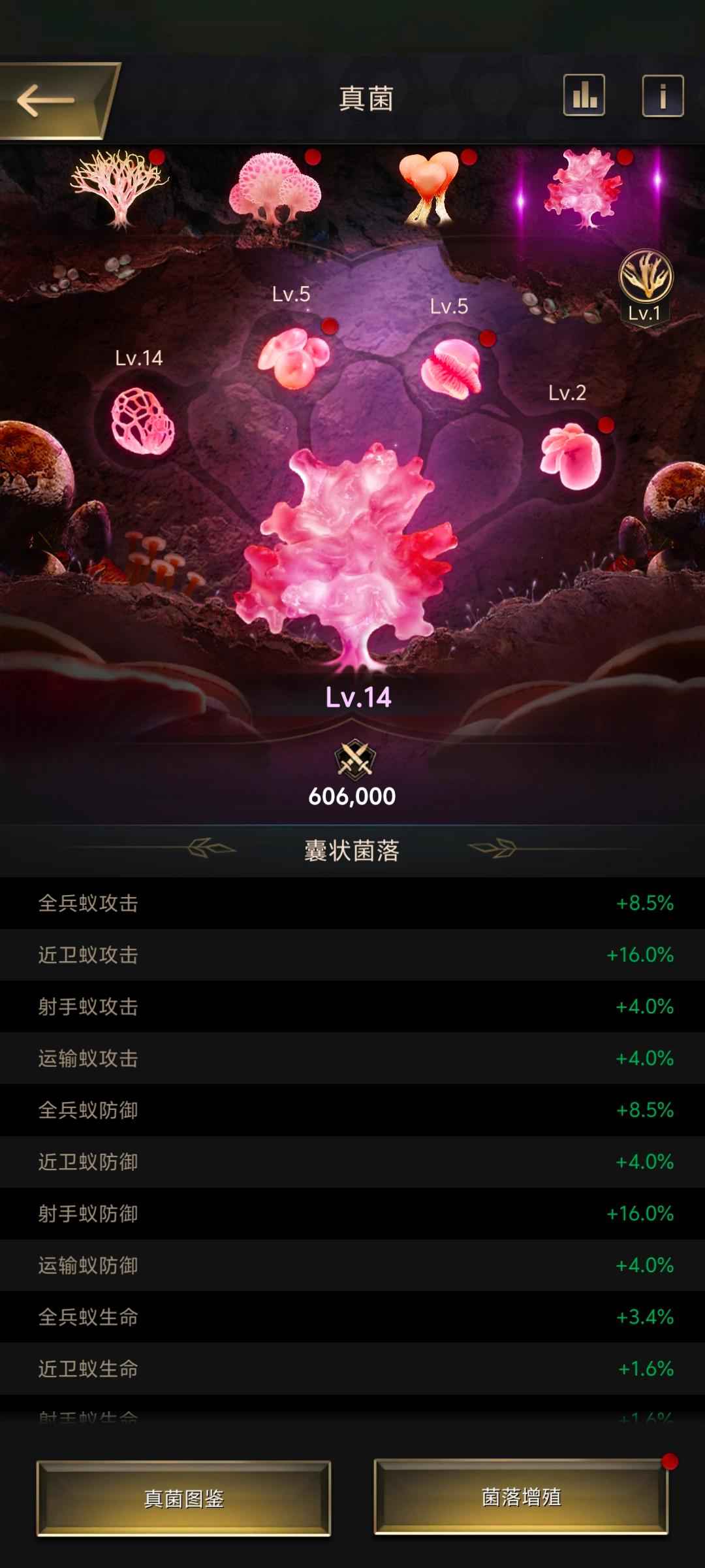 小小蚁国【25级VIP15战力1,6000,0000】t10盾111111