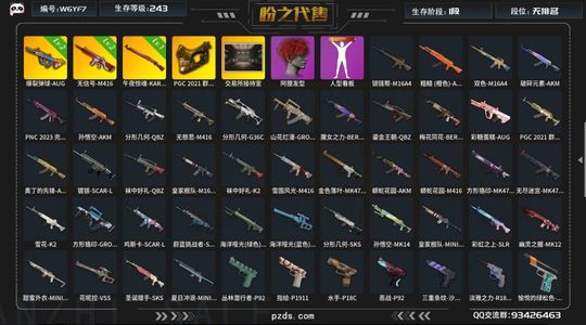 绝地求生（PUBG）pubg 账号