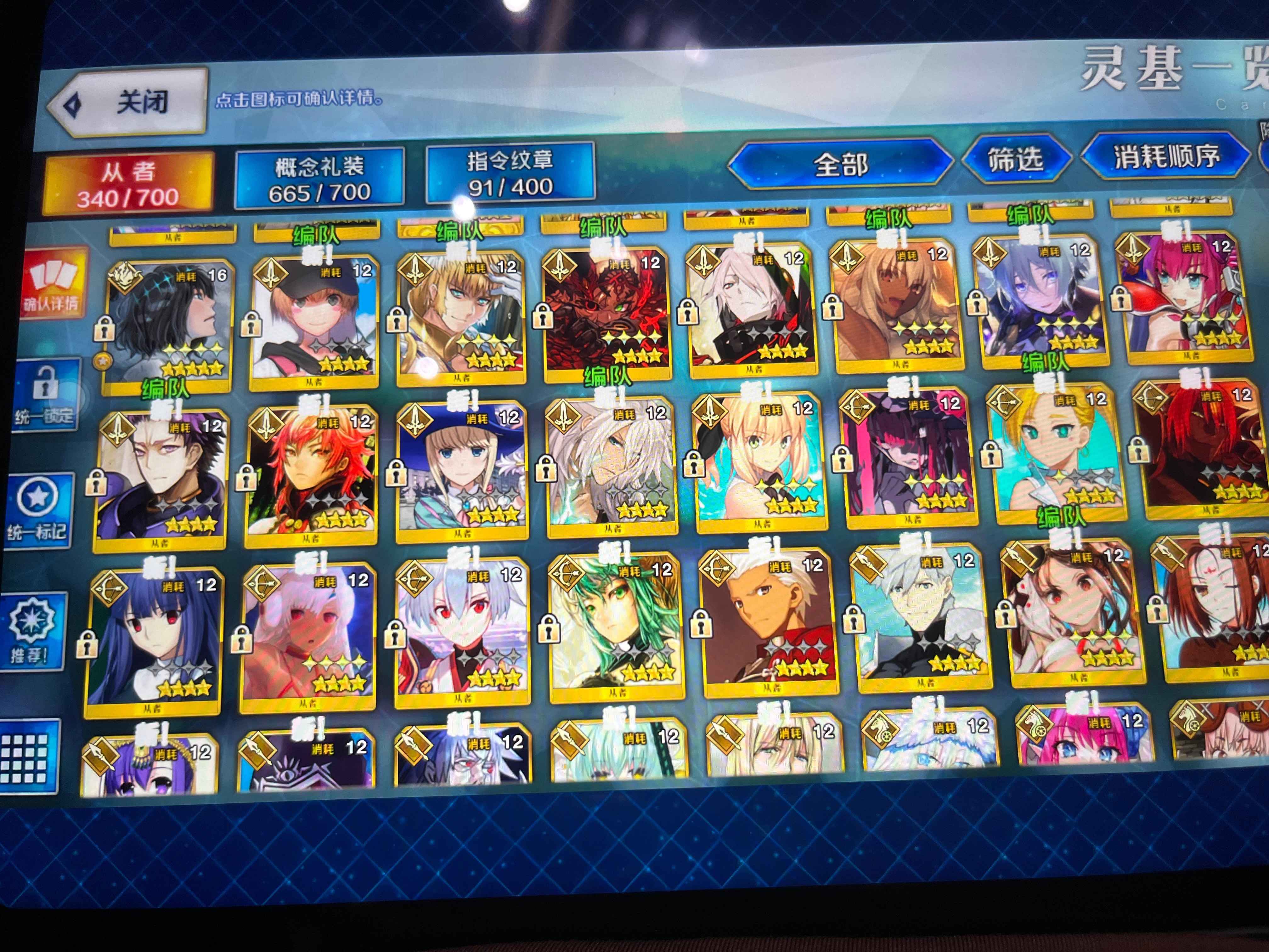 命运冠位指定（FGO）【苹果版】【145级】5五宝 公主摩根伽摩查理曼仇凛