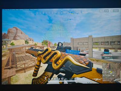 绝地求生（PUBG）5级美杜莎安金异色，汉娜，多利