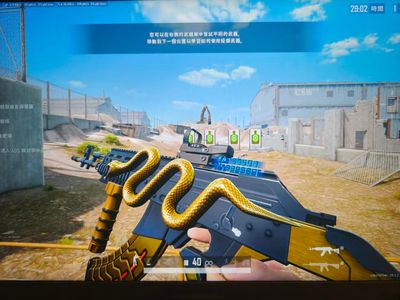 绝地求生（PUBG）4级美杜莎金异色，巴黎世家衣服