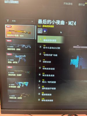 绝地求生（PUBG）无信号m416.m24成长皮