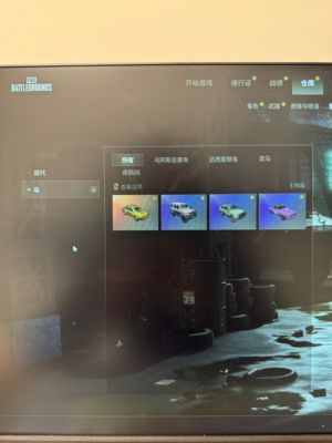 绝地求生（PUBG）2把成长武器