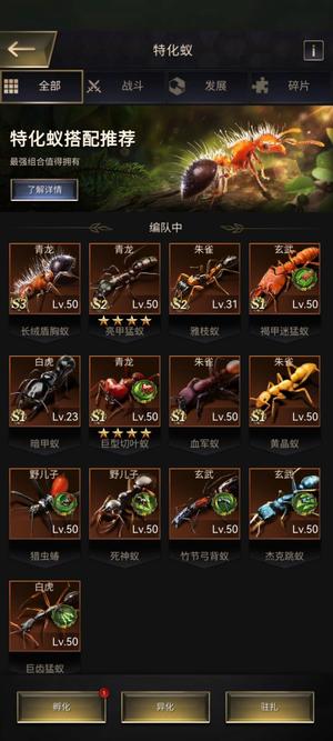 小小蚁国【25级VIP15战力1,0349,5365】便宜欧号，7星亮甲，1红心，