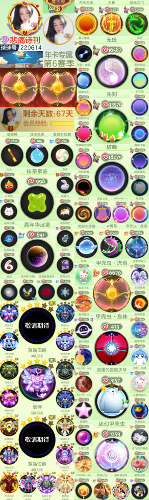 球球大作战年卡6赛季破晓大白4个甲壳虫