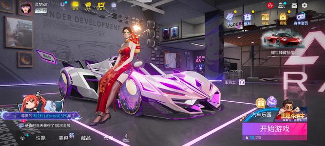 王牌竞速满级圣骑士满级萌萌虎满级狄安娜