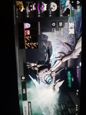 萤火突击【苹果版】新娘五满级宠物龙鳞君焰