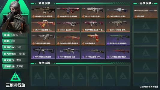 三角洲行动总资产313M 1传说近战 青铜