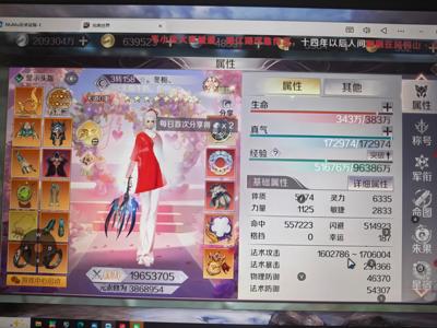 完美世界（腾讯版）【158级】410玄武毛毛