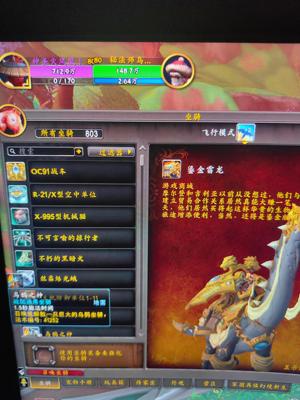 魔兽世界十年心血号