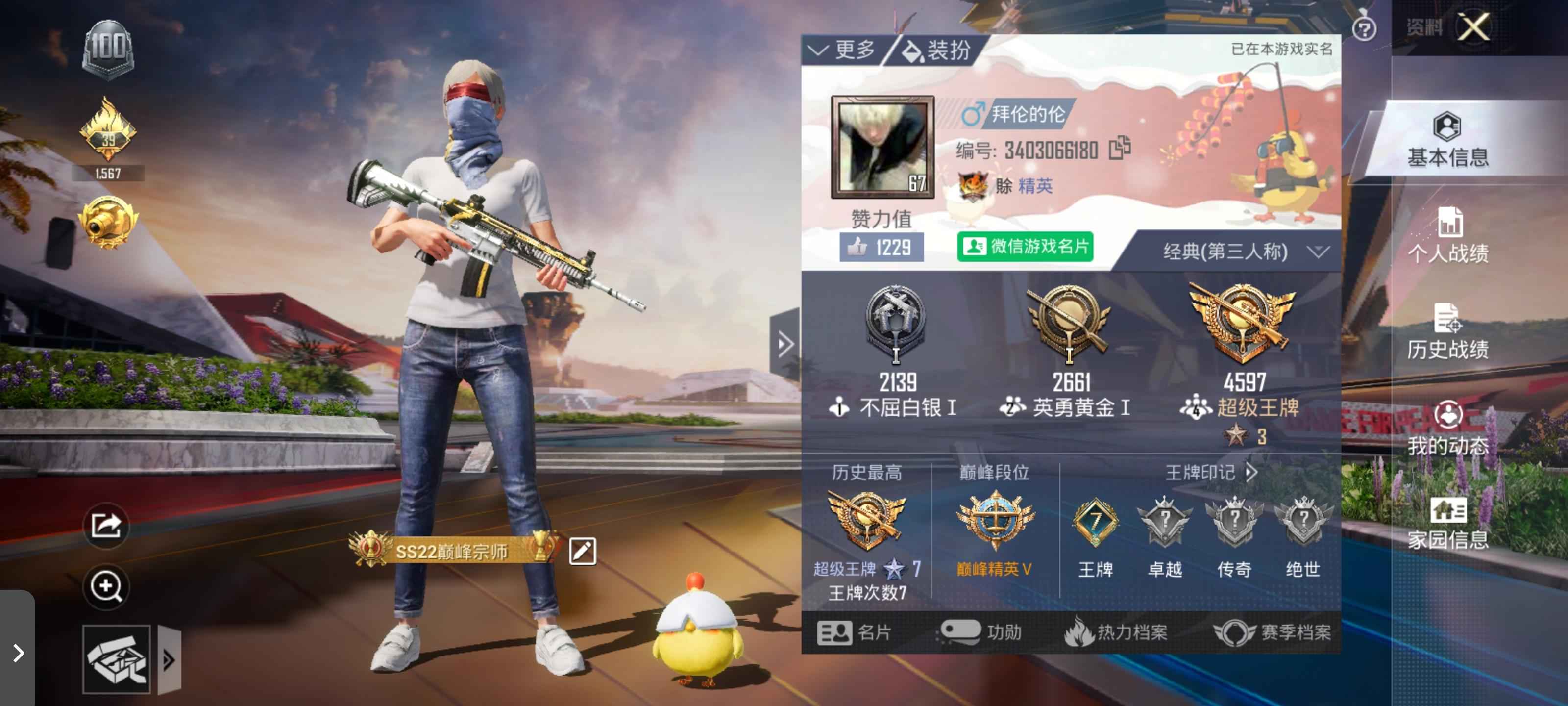 和平精英和平自玩号