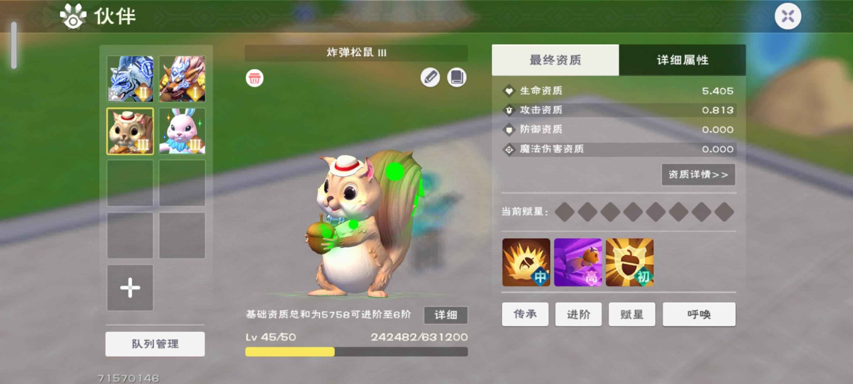 创造与魔法等级空号  宠物不强