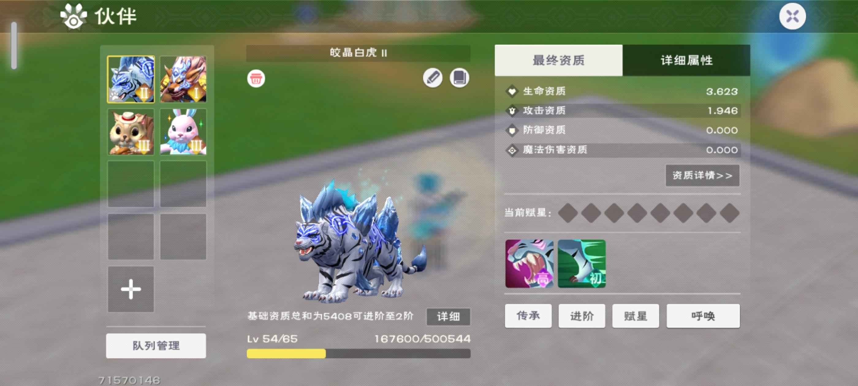 创造与魔法等级空号  宠物不强
