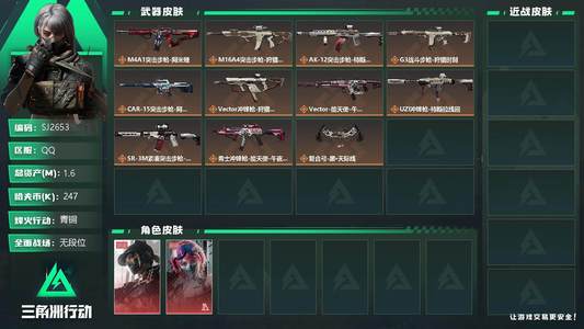 三角洲行动【总资产1M青铜】【SJ2653】总资产(M)