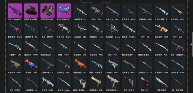 绝地求生（PUBG）喷子异色  可当小号使用